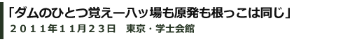 ダムのひとつ覚えー八ッ場も原発も根っこは同じ