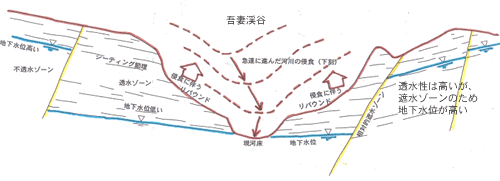 吾妻川の河床低下（浸食）によるダムサイトの低角度割れ目の形成