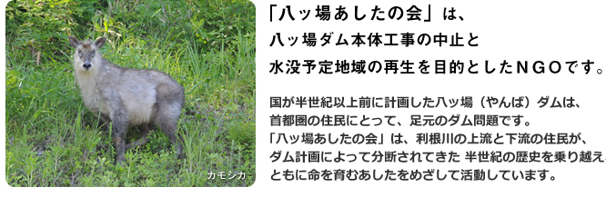 国が半世紀以上前に計画した八ッ場（やんば）ダムは、首都圏の住民にとって、足元のダム問題です。八ッ場あしたの会は、利根川の上流と下流の住民が、ダム計画によって分断されてきた 半世紀の歴史を乗り越え、ともに命を育むあしたをめざして活動しています。