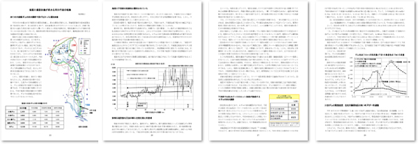 pdf-10